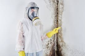 Best Forensic Mold Investigation  in Dunellen, NJ